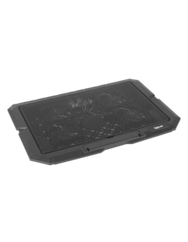 iggual Refrigerador portatil 4 ventiladores RP4V17