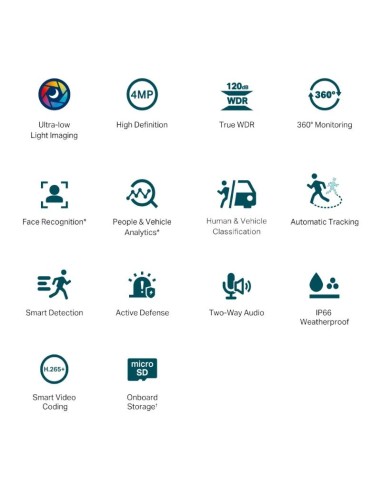 VIGI Camara IP PT C540S 4MP Plastico Full Color 4m