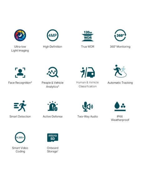 VIGI Camara IP PT C540S 4MP Plastico Full Color 4m