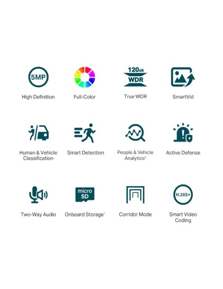 VIGI Camara IP Turret C450 5MP Plastico Full Color