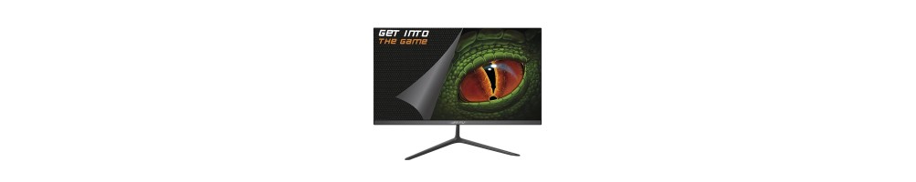 Monitores Led