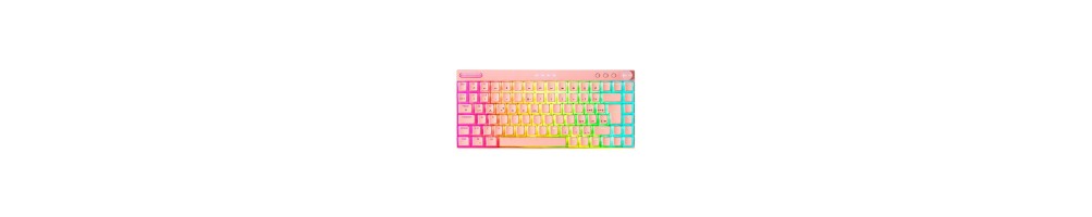 Teclados Inalámbricos