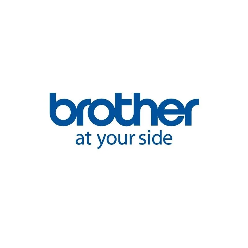 Brother Papel Caja12Rollos 50x30mm