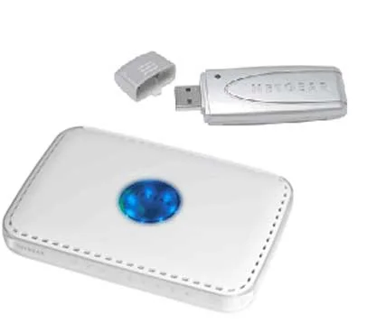 Netgear DGB111PN-100FSS KIT Modem Router MIMO (DG834PN) + USB Wireless MIMO (WPN111FS)