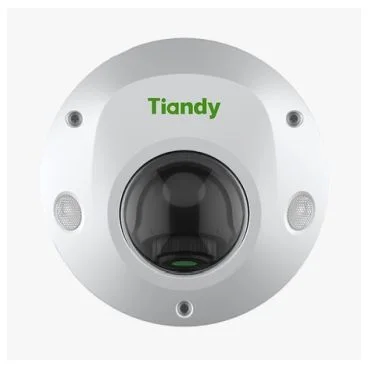 Tiandy TC-C32PS Spec:I3/E/Y/M/H/4mm/V4.2 - Cámara IP Formato Domo, Resistente a Intemperie, Resolución 2MP 25/30fps