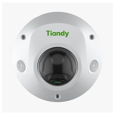 Tiandy TC-C32PS Spec:I3/E/Y/M/H/2.8mm/V4.2 - Cámara IP Formato Domo, Resistente a Intemperie, Resolución 2MP 25/30fps