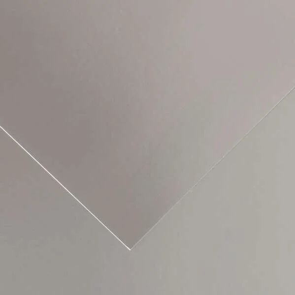 Canson Guarro Pack de 25 Cartulinas Iris de 185g - 50x65cm - Color Plata