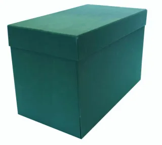 Elba Caja de Transferencia Tamaño Folio - Lomo de 20cm - Tapa Protectora y Solapa Abatible - Fabricada en Carton Reciclado Forrado con Geltex - Medidas 38.5x25.3x20.5cm - Color Verde