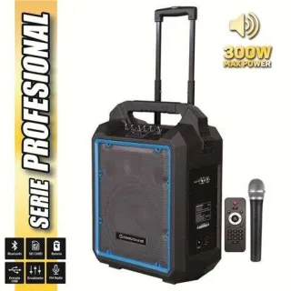 Coolsound Pro 300 Altavoz Autoamplificado Bluetooth 300W 10" 80W RMS con Bateria - USB, SD, Entrada Mic. Jack 6.3mm - 1 Microfono Serie Pro Cool - Autonomia hasta 4h - Asa y Ruedas de Transp