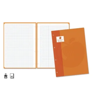 Golden Extra Recambio de 80 Hojas 90gr Cuadricula 4x4 - Formato A4 - 4 Taladros y Banda de Color Naranja · Pack de 5 uds.