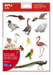 Apli Gomets Tematicos Realistas de Aves - 144 Gomets en 12 Hojas - Imagenes Realistas para Relacionar Aves - Desarrolla Habilidades Motoras - Adhesivo Removible - Adhesivo Base Agua - Colori