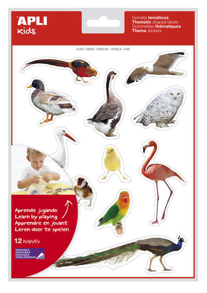 Apli Gomets Tematicos Realistas de Aves - 144 Gomets en 12 Hojas - Imagenes Realistas para Relacionar Aves - Desarrolla Habilidades Motoras - Adhesivo Removible - Adhesivo Base Agua - Colori