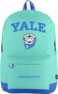 Dohe Yale Dog Mochila Escolar - Compartimento Principal con Bolsillo Acolchado - Bolsillos Laterales para Bebidas - Espalda Acolchada - Doble Asa Superior - Fabricada en Poliester - Medidas