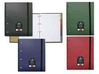 Bismark Carpeta de Anillas con Recambio de 100 Hojas Formato A4 + 5 Separadores + Sobre Portadocumentos - Colores Aleatorios Surtidos