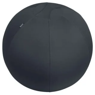 Leitz Ergo Active Balon de Asiento Antideslizante 65cm - Asa de Transporte Resistente - Carga Maxima de 150kg - Funda Lavable - Color Gris Oscuro