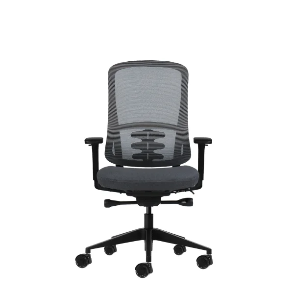 Oqonos Cherg 020 Silla de Oficina Ergonomica con Mecanismo Autobalanceado, Reposabrazos 4D, Asiento Deslizable y Ruedas de Silicona - Gris con Estructura Negra