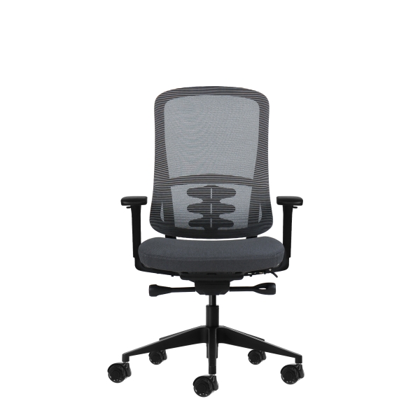 Oqonos Cherg 020 Silla de Oficina Ergonomica con Mecanismo Autobalanceado, Reposabrazos 4D, Asiento Deslizable y Ruedas de Silicona - Gris con Estructura Negra
