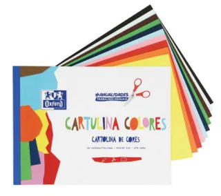 Oxford Bloc Encolado de 10 Cartulinas de Colores Formato A4+ 170gr - Colores Surtidos