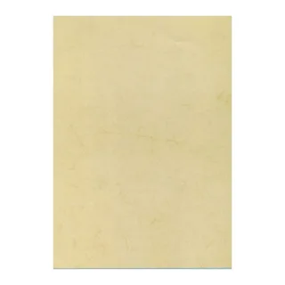 Apli Pack de 10 Hojas de Papel Textura Habana A4 - 200gr - Ideal para Invitaciones y Comunicaciones - Compatible con Impresoras Inkjet, Laser y Fotocopiadoras - Color Habana