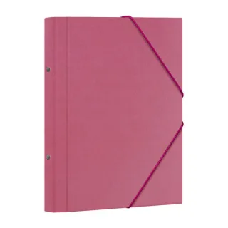 Dohe Carpeta Clasificadora 12 Departamentos - Formato Folio - Carton Plastificado - Cierre con Gomas - Color Rosa