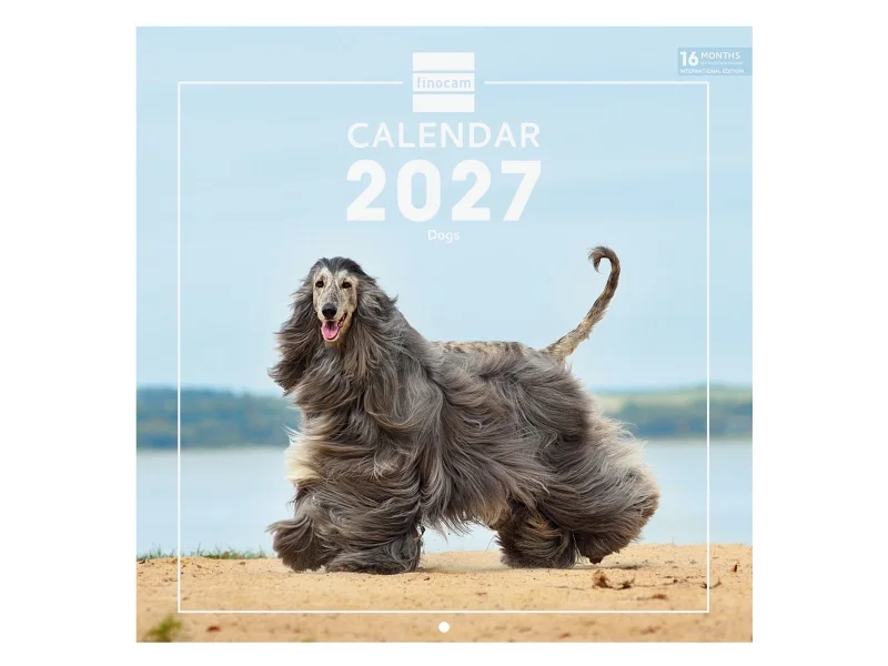 Finocam Dogs Calendario de Pared Internacional - 16 Meses 26/27 - Mes Vista - 300x300mm - Papel de 170g/m2 - Imagenes Tematicas Surtidas - Espacio para Notas - Multilenguaje