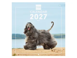 Finocam Dogs Calendario de Pared Internacional - 16 Meses 26/27 - Mes Vista - 300x300mm - Papel de 170g/m2 - Imagenes Tematicas Surtidas - Espacio para Notas - Multilenguaje