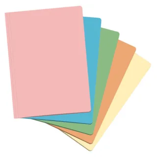 Dohe Pack de 50 Subcarpetas de Cartulina de 180gr A4 - Ranura para Fastener - Resistente y Duradera - Ideal para Organizar Documentos - Colores Surtidos