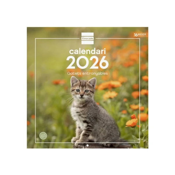 Finocam Calendario de Pared en Catalan - Anual 2026 - Imagenes Variadas - 300x300mm - Espacio para Escribir - Tematica de Gatos