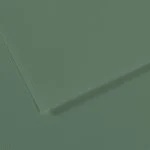 Canson Mi-Teintes Pack de 10 Hojas 160 g/m² - Tamaño 50 x 65cm - Doble Cara Grano Nido de Abeja y Grano Fino - Certificado FSC - Color Verde Salvia