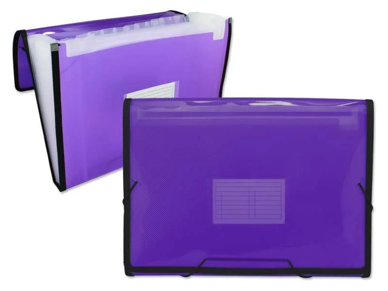Ingraf Carpeta Frame Fuelle 13 Departamentos Tamaño A4 - Polipropileno Translucido - Gomas y Solapas - Color Morado