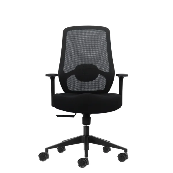 Oqonos Cherg 001 Silla de Oficina Ergonomica con Soporte Lumbar Ajustable en Altura y Profundidad, Respaldo de Malla Transpirable, Reposabrazos Fijos, Asiento Ergonomico Moldeado y Ruedas de Silicona - Negro