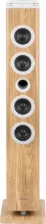 Thomson DS220CD Torre de Sonido 60W Bluetooth 5.3 - Reproductor de CD - Entrada AUX 3,5mm, USB y Lector de Tarjetas SD/MMC - Mando a Distancia - Color Madera/Blanco