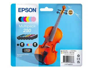 Epson 250 Pack de 6 Cartuchos de Tinta Originales - C13T16N84010
