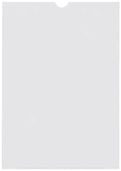 Esselte Pack de 100 Portacarnets Tamaño A4 232x305mm 185Q 140 micras - PVC Transparente Acabado Liso