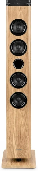 Thomson DS220CD Torre de Sonido 60W Bluetooth 5.3 - Reproductor de CD - Entrada AUX 3,5mm, USB y Lector de Tarjetas SD/MMC - Mando a Distancia - Color Madera/Negro