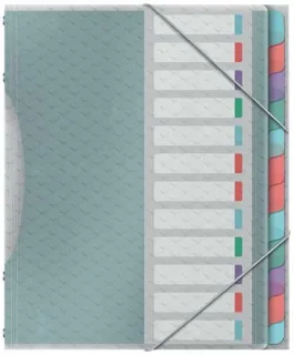 Esselte Colour'Breeze Clasificador con 12 Pestañas Multicolor - Para Formato A4 - 3 Solapas en la Contraportada - Polpropileno en Relieve - Cierre con Goma Elastica - Color Translucido