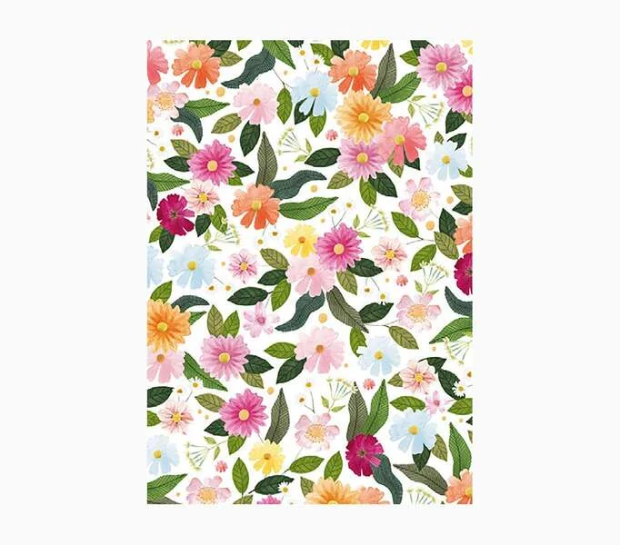 Pictura Cuaderno A6 - 105x150mm - 48 Paginas con Lineas - Papel con Certificacion FSC
