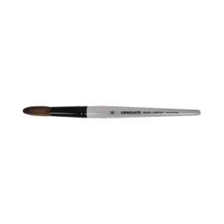 Daler Rowney Graduate Pincel Acuarela - Mezcla de Pelo de Pony y Sintetico - Mango Corto - Redondo Lavis Nº30