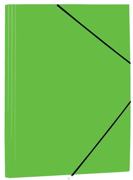 Mariola Carpeta de Polipropileno con Solapas 450 Micras - Formato Folio - Medidas 34x25cm - Cierre con Goma Elastica - Color Verde · Pack de 12 uds.