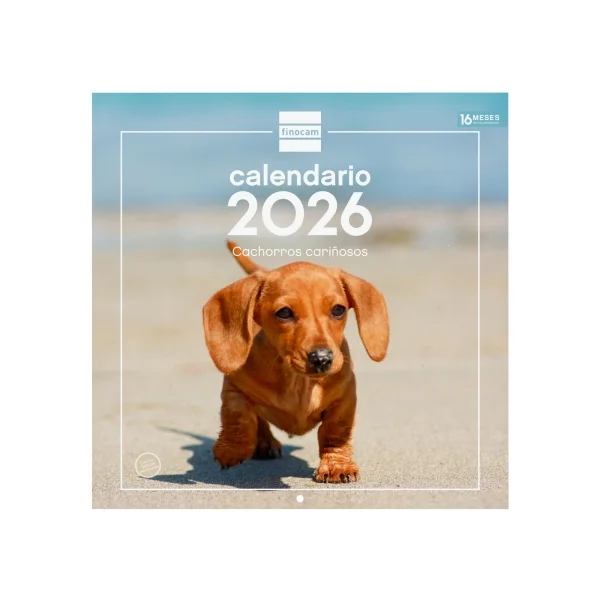 Finocam Calendario de Pared - Anual 2026 - Imagenes Variadas - 300x300mm - Espacio para Escribir - Tematica de Cachorros