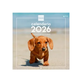 Finocam Calendario de Pared - Anual 2026 - Imagenes Variadas - 300x300mm - Espacio para Escribir - Tematica de Cachorros