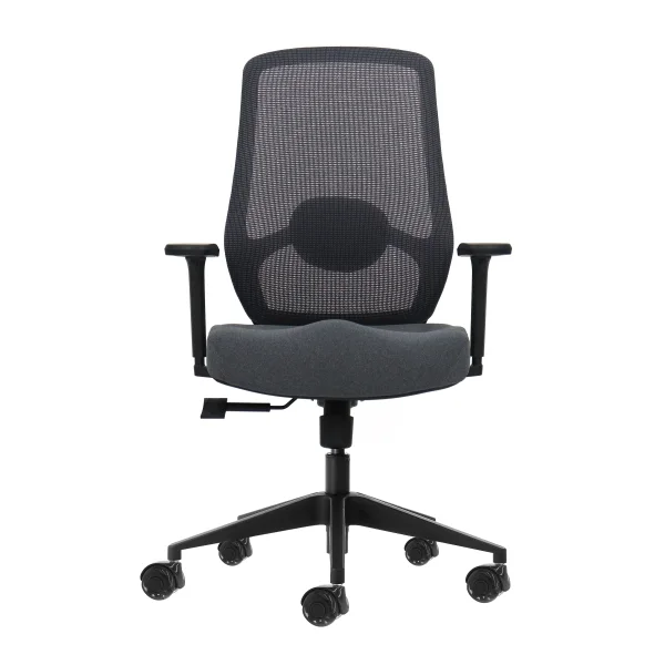 Oqonos Cherg 025 Silla de Oficina Ergonomica con Soporte Lumbar Ajustable en Altura y Profundidad, Reposabrazos 4D, Piston de Gas Clase 4, Asiento Ergonomico Moldeado y Ruedas de Silicona - Gris con Estructura Negra