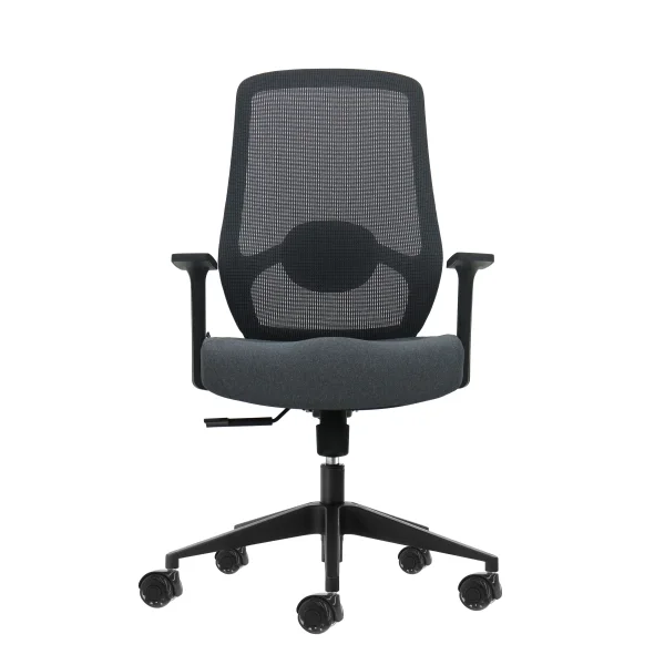 Oqonos Cherg 002 Silla de Oficina Ergonomica con Soporte Lumbar Ajustable en Altura y Profundidad, Respaldo de Malla Transpirable, Reposabrazos Fijos, Asiento Ergonomico Moldeado y Ruedas de Silicona - Gris con Estructura Negra