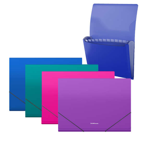 Erichkrause Matt Vivid Carpeta/Clasificador con 12 Fundas A4 - Acabado Mate - Colores Surtidos · Pack de 4 uds.