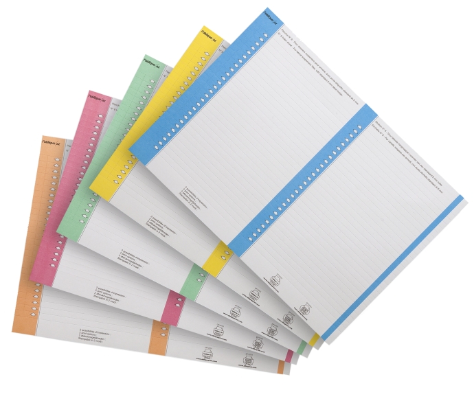 Elba Bristol Pack de 10 Hojas A5 por 27 Etiquetas para Visores Laterales Carpeta Colgante Nº 8 14.4x06mm - Resistente Material Bristol - Tamaño Adecuado para Carpeta Colgante - Con Borde de