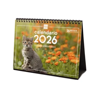 Finocam Calendario de Sobremesa - Anual 2026 - Imagenes Variadas - Espacio para Escribir - Tematica de Gatos