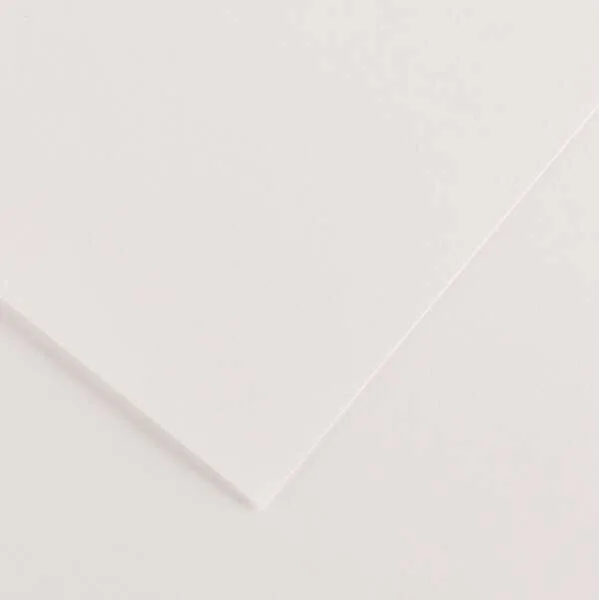 Canson Guarro Pack de 25 Cartulinas Iris de 185g - 50x65cm - Color Blanco