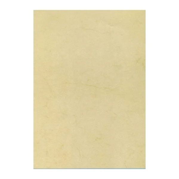 Apli Pack de 100 Hojas de Papel Textura Habana - Ideal para Impresiones Especiales - Compatible con Impresoras Inkjet, Laser y Fotocopiadoras - Color Habana
