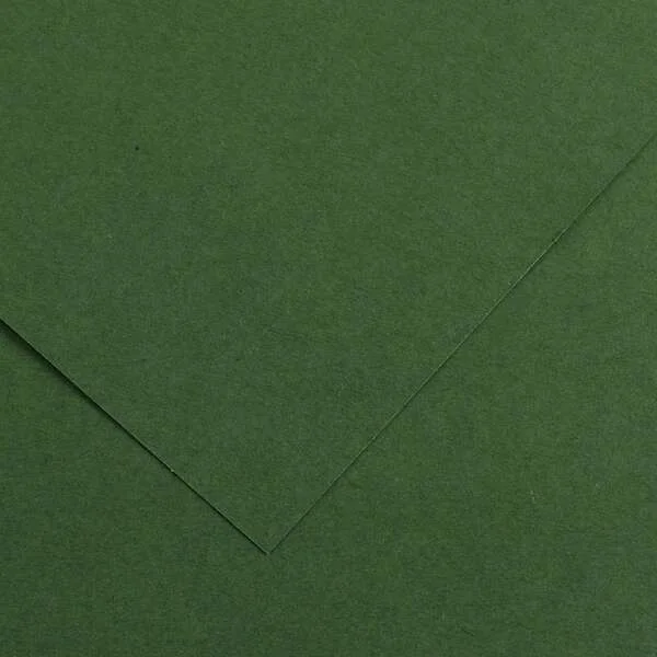 Canson Guarro Pack de 25 Cartulinas Iris de 185g - 50x65cm - Color Verde Amazonas