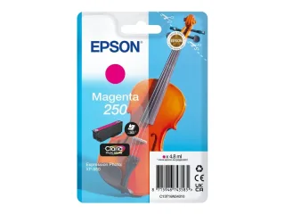 Epson 250 Magenta Cartucho de Tinta Original - C13T16N34010